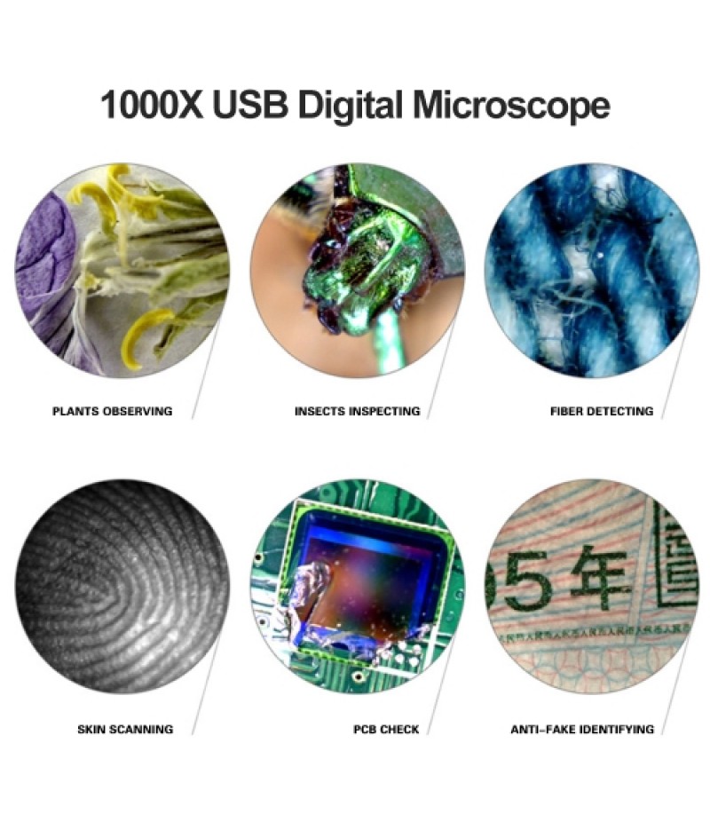 USB Digital Microscope 1000X Electronic Endoscope 8 LED 2 Million Pixels