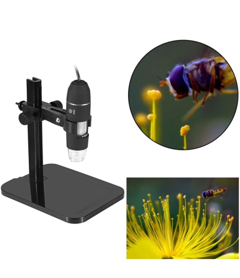 USB Digital Microscope 1000X Electronic Endoscope 8 LED 2 Million Pixels
