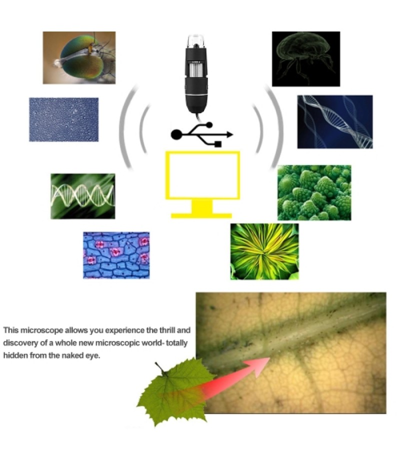 USB Digital Microscope 1000X Electronic Endoscope 8 LED 2 Million Pixels