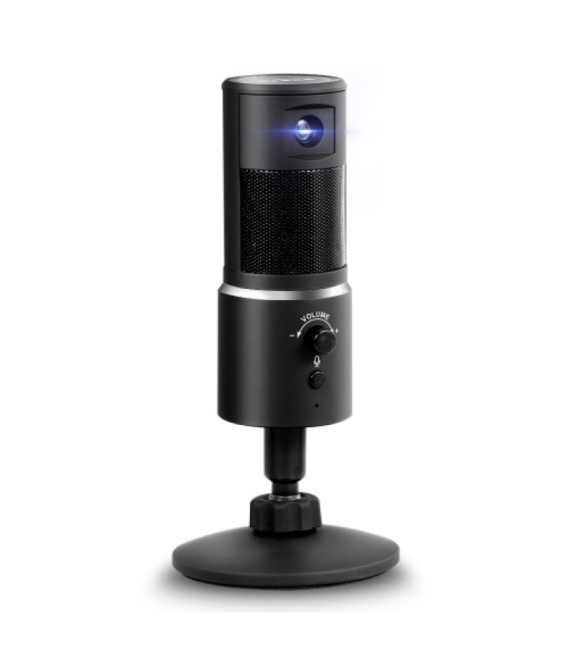 Digital Video Microphone Condenser Recording Microphone + 1080P Camera Hi-Fi Stereo Microphone Plug and Play Black