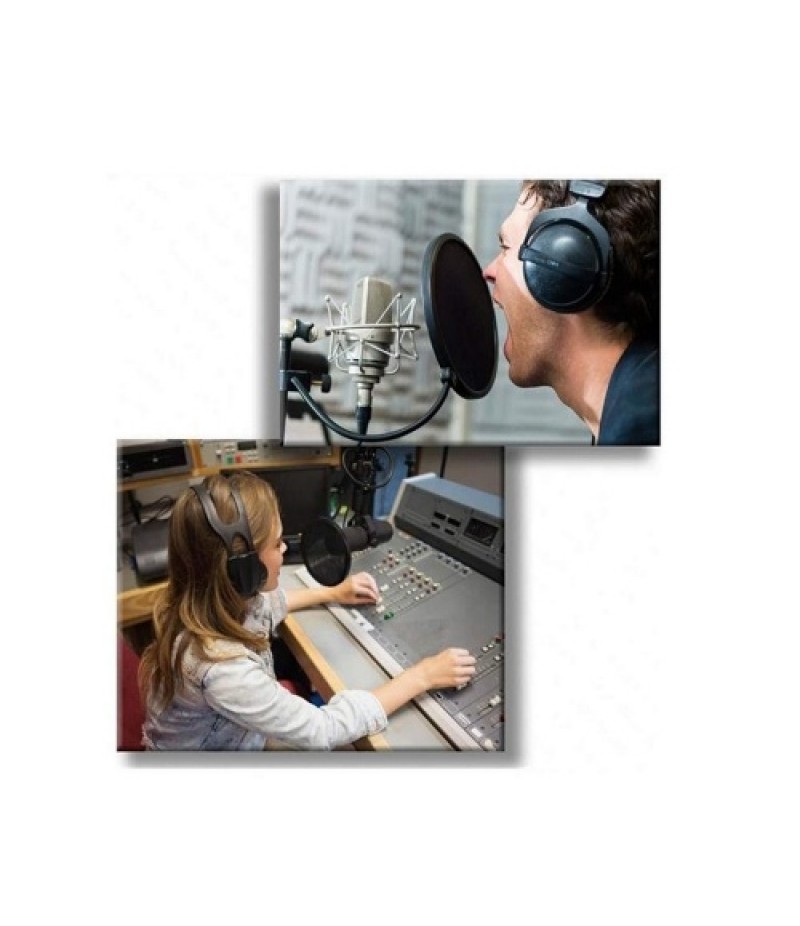 Microphone Pop Filter Mic Shield Mask Dual Layer Singing Windscreen Professional Mic Studio Pop Filter