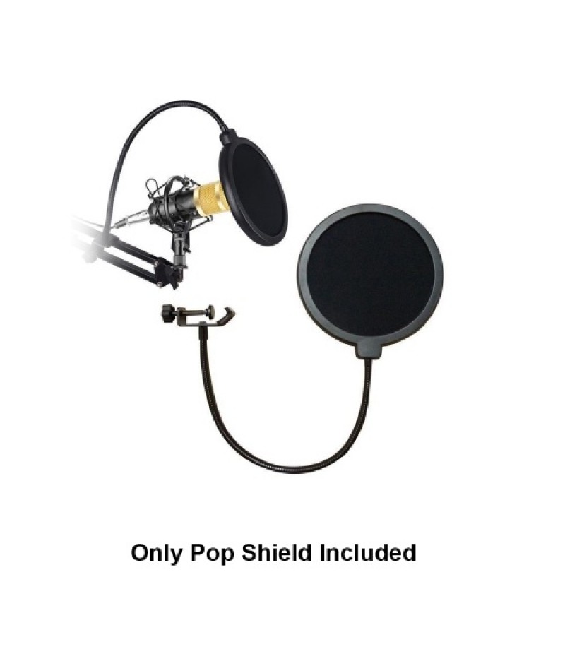 Microphone Pop Filter Mic Shield Mask Dual Layer Singing Windscreen Professional Mic Studio Pop Filter