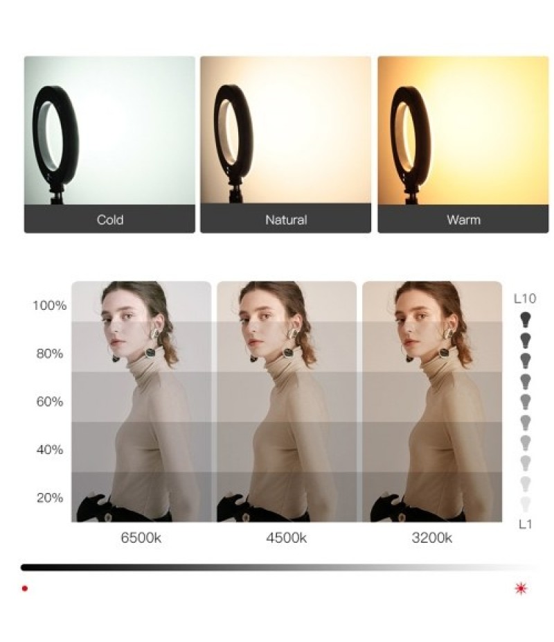 10in USB Desktop Ring Light with 3 Color Modes/10 Brightness Levels/Flexible Power Supply/360° Rotatable Ball Head/Phone Stand/T