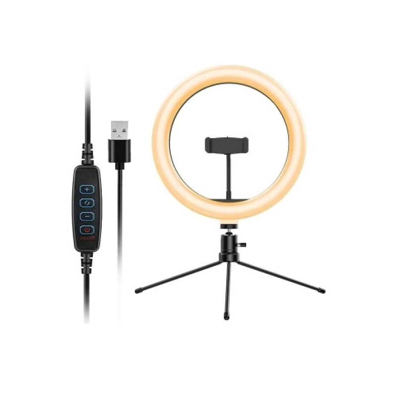 10in USB Desktop Ring Light with 3 Color Modes/10 Brightness Levels/Flexible Power Supply/360° Rotatable Ball Head/Phone Stand/T