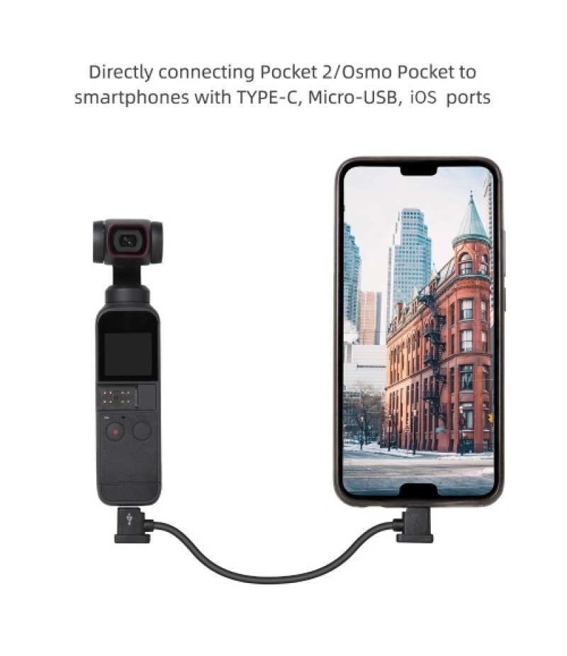 15cm Type C to IOS Date Cable for Smartphone/Table Compatible with DJI Mini 2/Air 2/Pocket 2/Osmo Pocket/ FPV Goggles v2